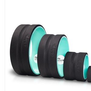 Chirp Wheel 3 pack(never used)